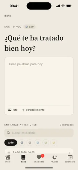 Pantalla del diario